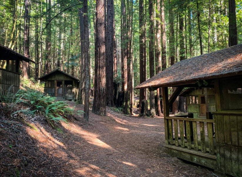 Mendocino Woodlands, California, USA